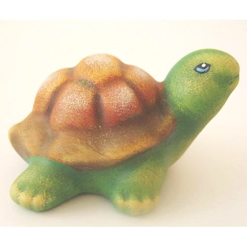 tortue_11-033b-1 tortue_11-033b-1