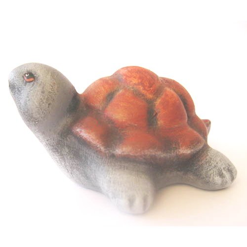 tortue_11-033b-2 tortue_11-033b-2