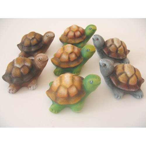 tortue_11-033bb_