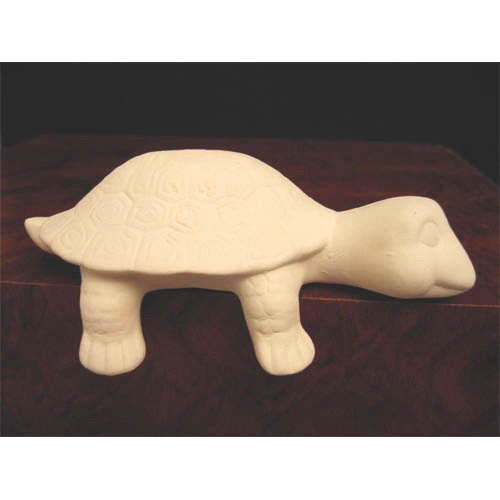 tortue_11-130