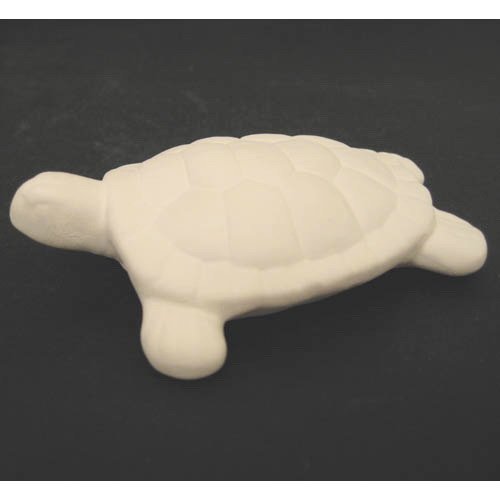 tortue_11-131-1 tortue_11-131-1