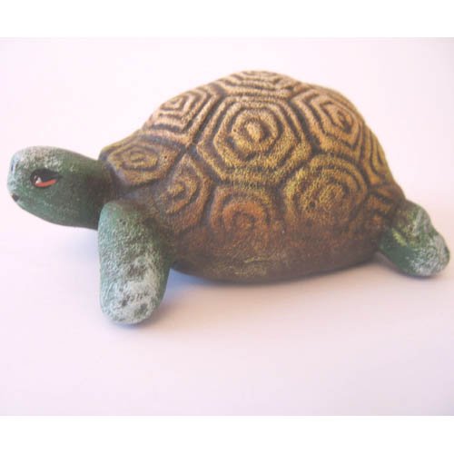 tortue_11-131-2b-1