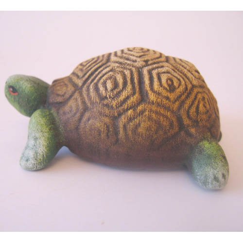 tortue_11-131-2b-2