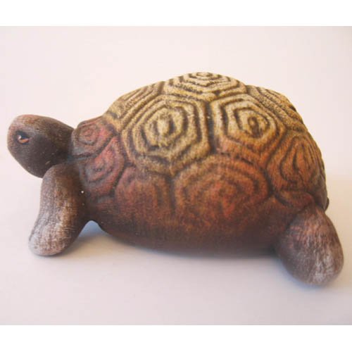 tortue_11-131-2b-4