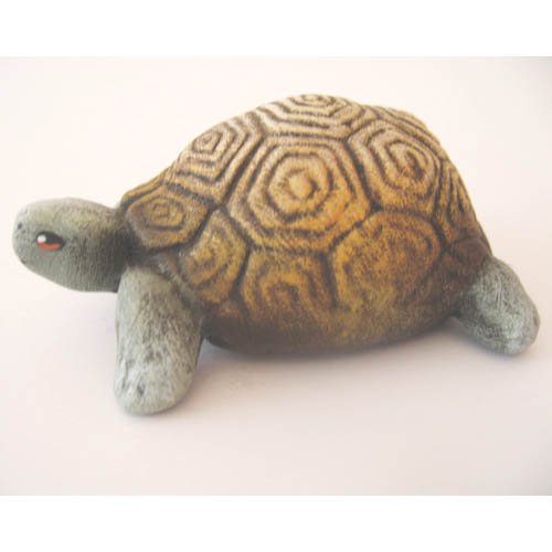 tortue_11-131-2b-5