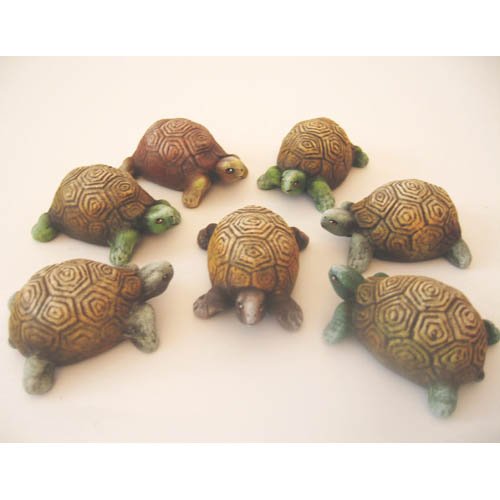 tortue_11-131-2bb tortue_11-131-2bb
