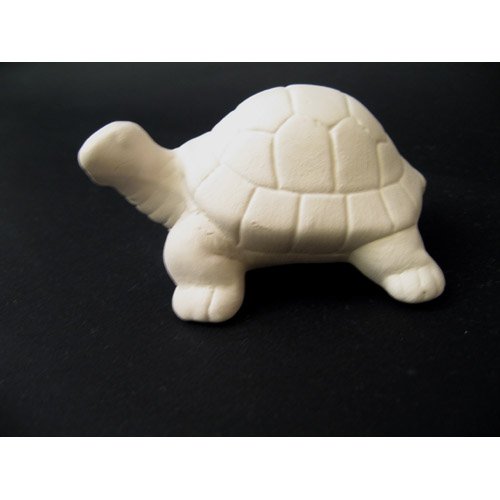 tortue_11-149
