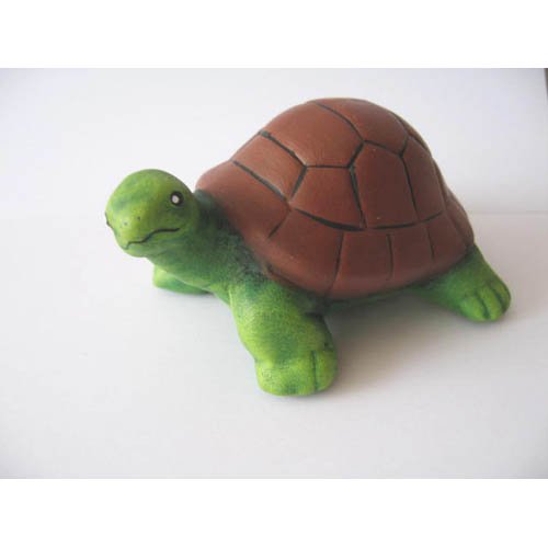 tortue_11-149b tortue_11-149b