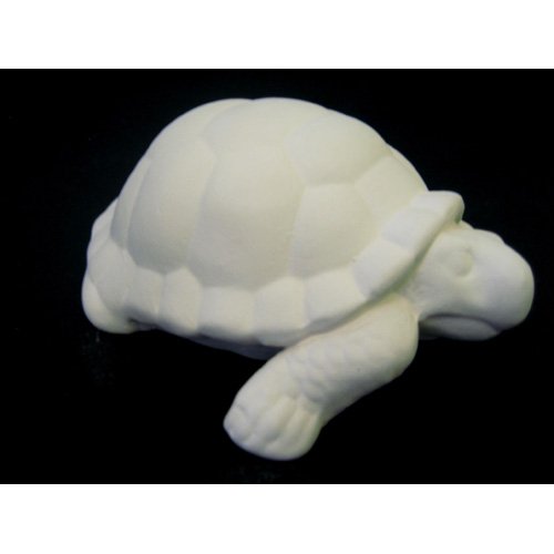 tortue_11-198