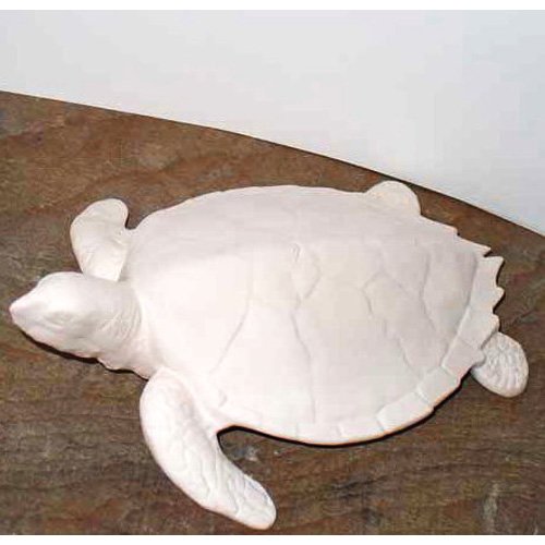 tortue_11-199