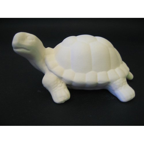 tortue_11-201