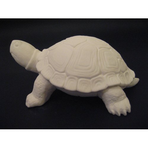 tortue_11-202