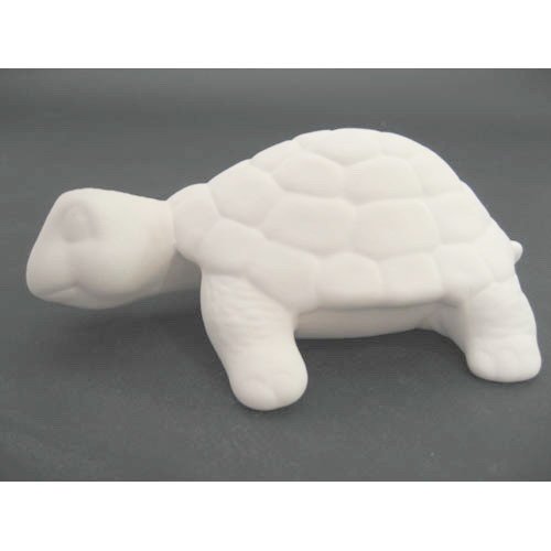 tortue_n032