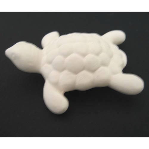 tortue_n155 tortue_n155