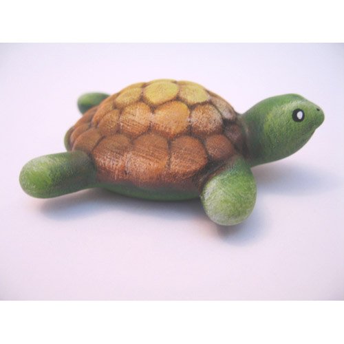 tortue_n155b