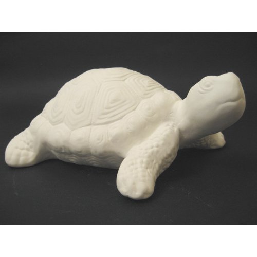 tortue_n227 .jpg tortue_n227 .jpg