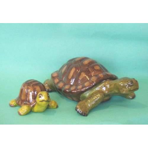 tortues_11-030av_11-029av