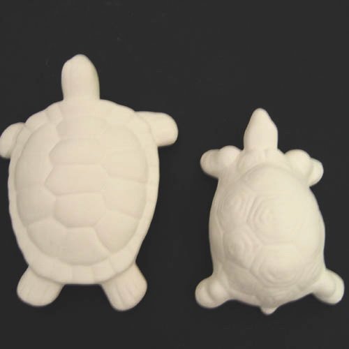 _tortues_11-131-1_11-131-2