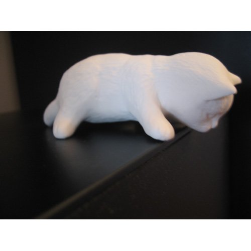 chat_06-067-2chaton chat_06-067-2chaton