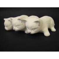 chat_06-067-2chatons