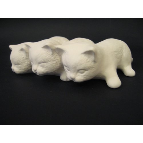 chat_06-067-2chatons chat_06-067-2chatons