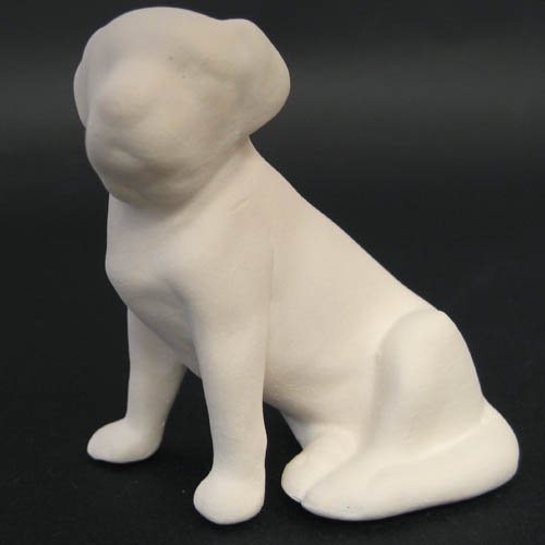 chien_07-021 chien_07-021