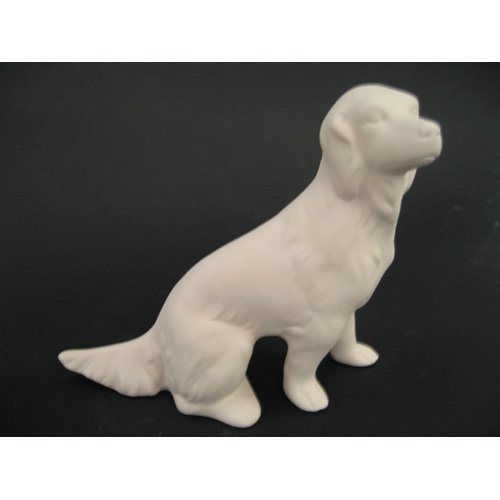 chien_07-026 chien_07-026