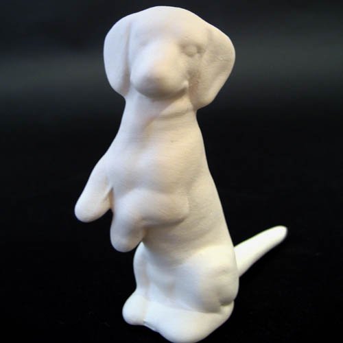 chien_07-027 chien_07-027