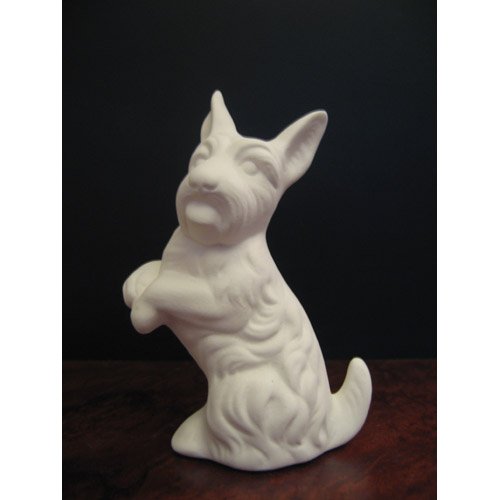 chien_07-028 chien_07-028