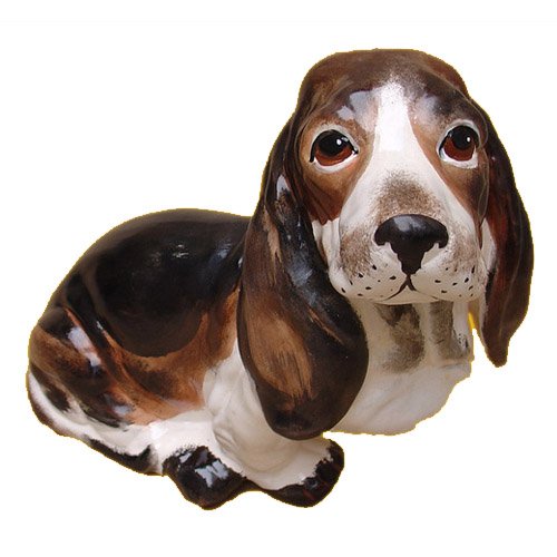 chien_07-038a chien_07-038a