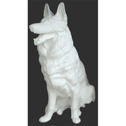 chien_07-042 chien_07-042