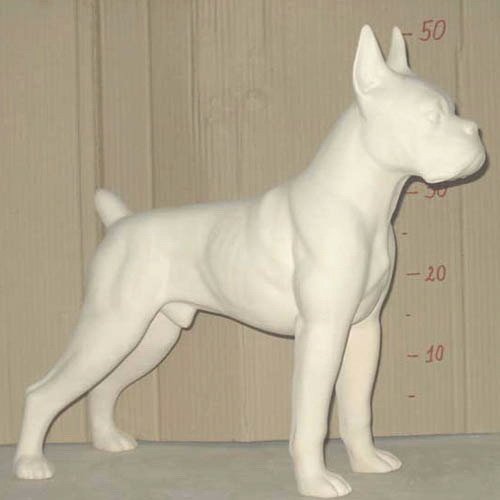 chien_07-043 chien_07-043