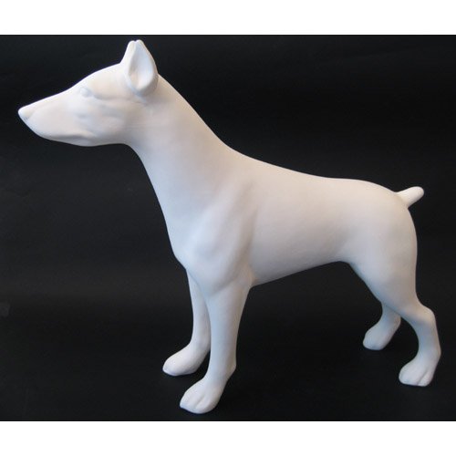 chien_07-049 chien_07-049