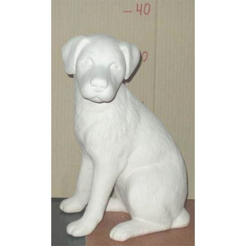 chien_07-050 chien_07-050