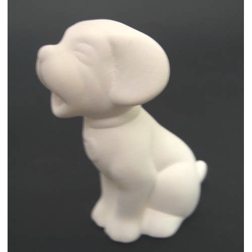 chien_n024-1 chien_n024-1