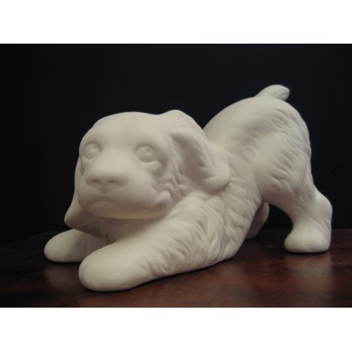 chien_n043 chien_n043