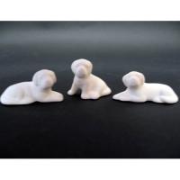 pl_chiens_07-008-1_07-008-2_07-008-3