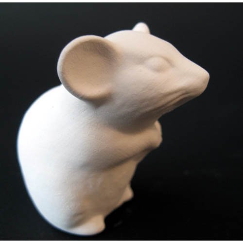 souris_11-093-2 souris_11-093-2