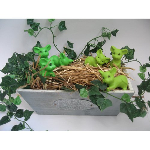 vert herbe et vert pomme composition.jpg