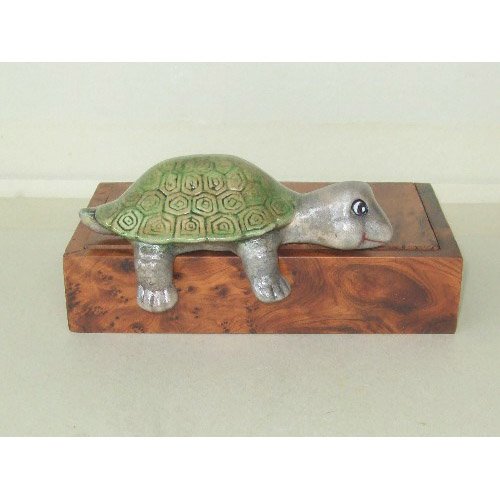 tortue_11-130ev
