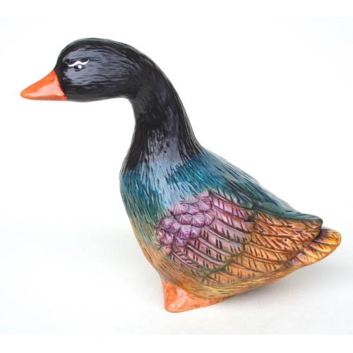 canard_09-081ev canard_09-081ev