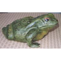 grenouille_03-003ev