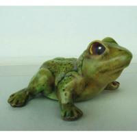 grenouille_03-004ev