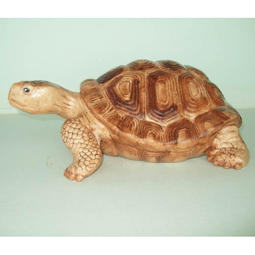 tortue_11-027ev