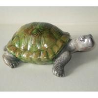 tortue_11-029ev-1