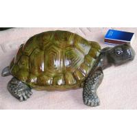 tortue_11-029ev-2