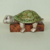 tortue_11-031ev