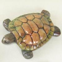 tortue_11-131-1ev