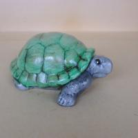 tortue_11-198ev