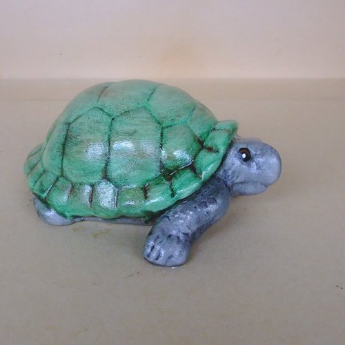tortue_11-198ev